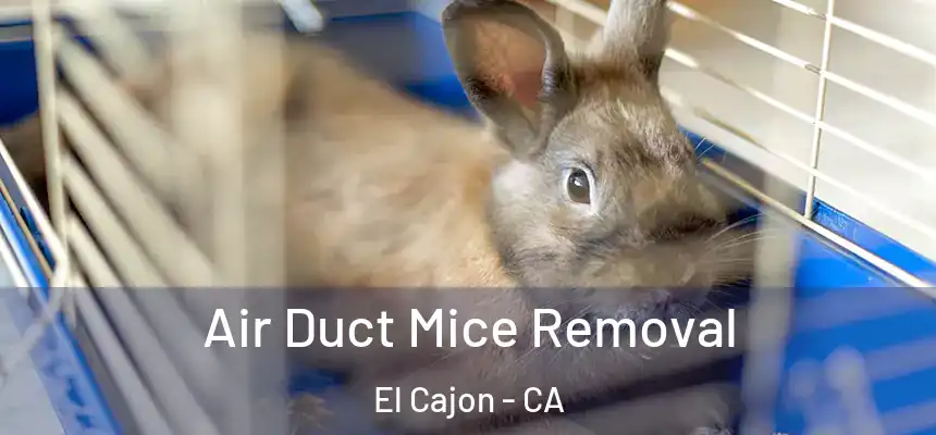 Air Duct Mice Removal El Cajon - CA