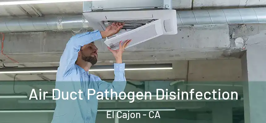 Air Duct Pathogen Disinfection El Cajon - CA