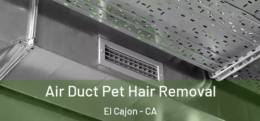 Air Duct Pet Hair Removal El Cajon - CA