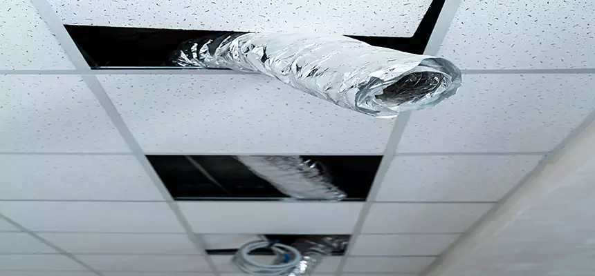 Affordable HVAC Sanitizing After Pest Removal in El Cajon