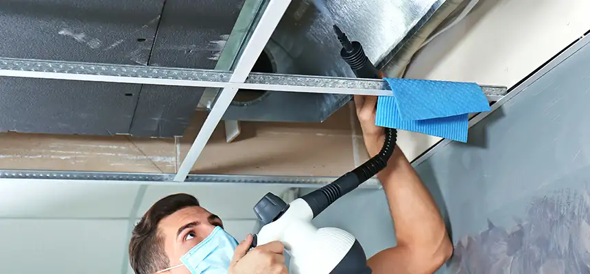 Our Air Duct Rodent Removal Services in El Cajon, CA