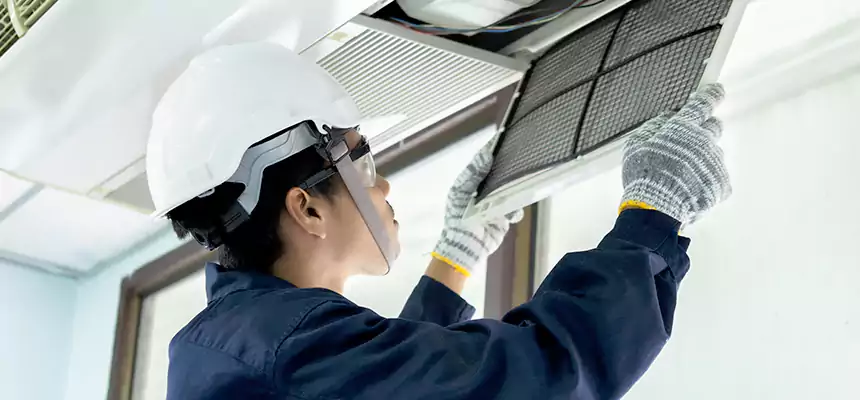 Our Mold & Mildew Removal from Air Ducts Services in El Cajon, CA