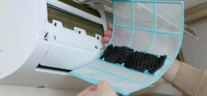 Gentle Ductwork Odor-Control Pet Dander Duct Cleaning in El Cajon, CA