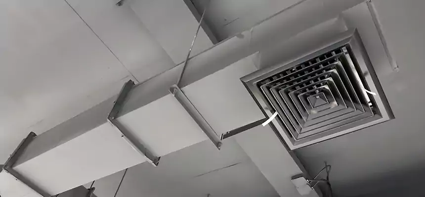 Our Rodent Droppings In Vents Services in El Cajon, CA