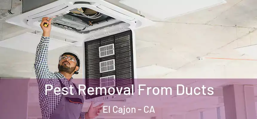 Pest Removal From Ducts El Cajon - CA