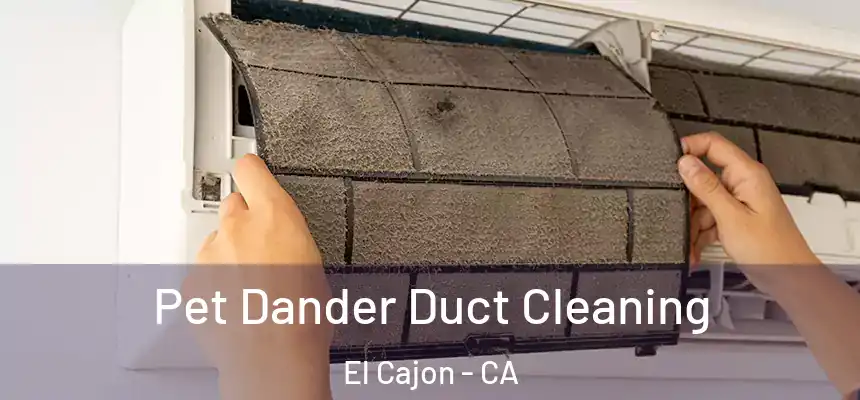 Pet Dander Duct Cleaning El Cajon - CA