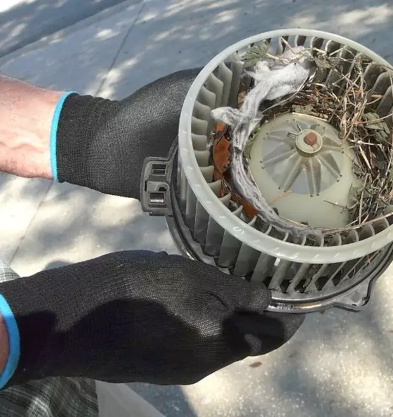 About Air Duct Mice Removal in El Cajon, CA