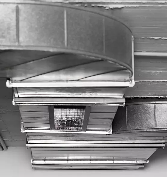 Professional Air Duct Pest Removal in El Cajon, CA